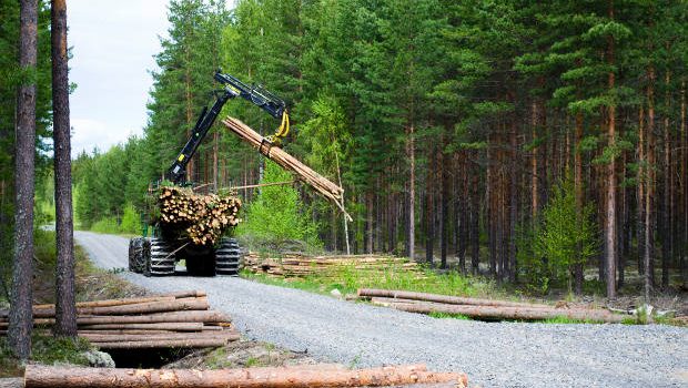 Puutavaran kuljetuskone nostaa puuta kyytiin.