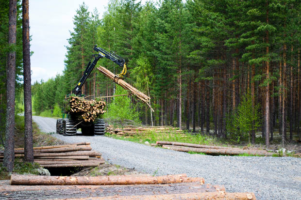 Puutavaran kuljetuskone nostaa puuta kyytiin.