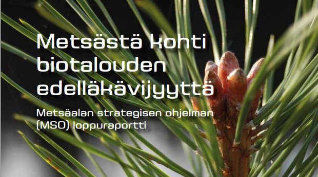 Teksti metsästä kohti biotalouden edelläkävijyyttä. Metsäalan strategisen ohjelman loppuraportti.