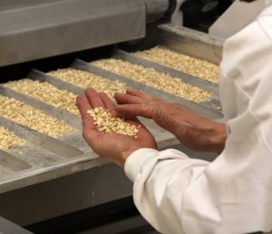 A factory worker handling oat flakes.