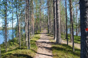 Hossa 1. Kuva Sirke Seppänen, Metsahallitus