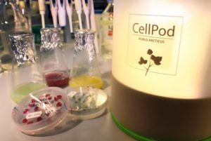 CellPodin prototyyppi.