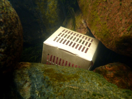 The eco egg box under water.