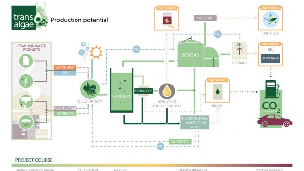 A graph of transAlgae production potential.