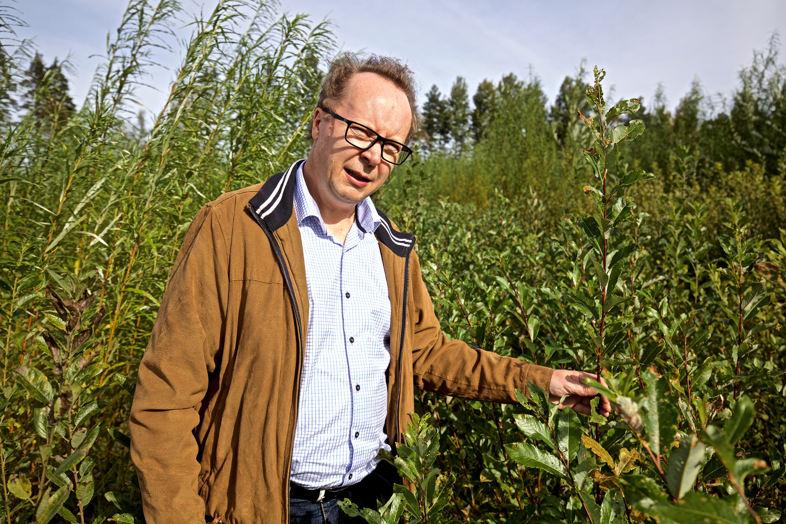 Carbonsin toimitusjohtaja Markku Suutari pajuviljelmän keskellä.