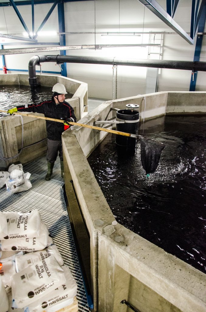 Fish farm worker next to a tank with a net.