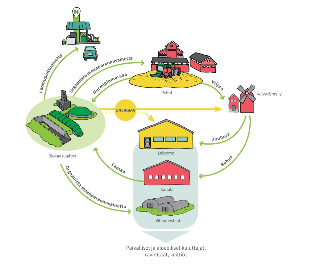 Agroekologisen symbioosin kaavakuva, jossa raaka-aineita ja energiaa liikkuu peltojen, myllyjen, kanaloiden, leipomojen, vihannestilojen ja biokaasulaitosten välillä.