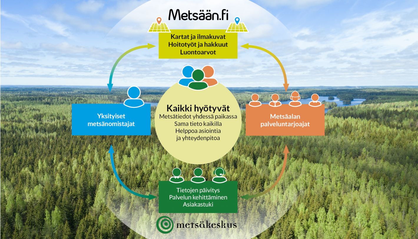 Metsämaisema, jonka päällä kaaviokuva Metsään.fi-palvelun sisällöstä.