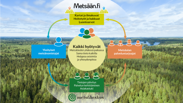 Metsämaisema, jonka päällä kaaviokuva Metsään.fi-palvelun sisällöstä.