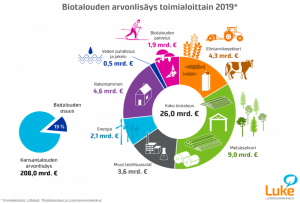 Biotalouden arvonlisä 2019 oli 26 miljardia euroa ja 13 % kansantalouden arvonlisäyksestä. Toimialoista suurin oli metsäsektori 9 miljardia euroa, toiseksi suurin rakentaminen 4,6 miljardia euroa ja kolmanneksi suurin elintarvikesektori 4,3 miljardia euroa.