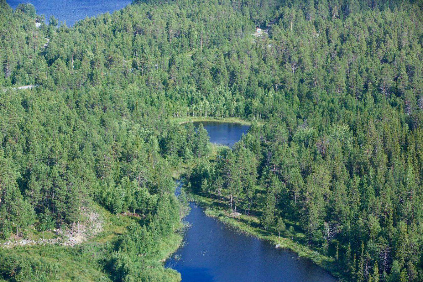 Ilmakuva, jossa metsää ja vesistöä.