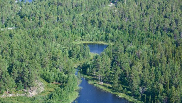 Ilmakuva, jossa metsää ja vesistöä.