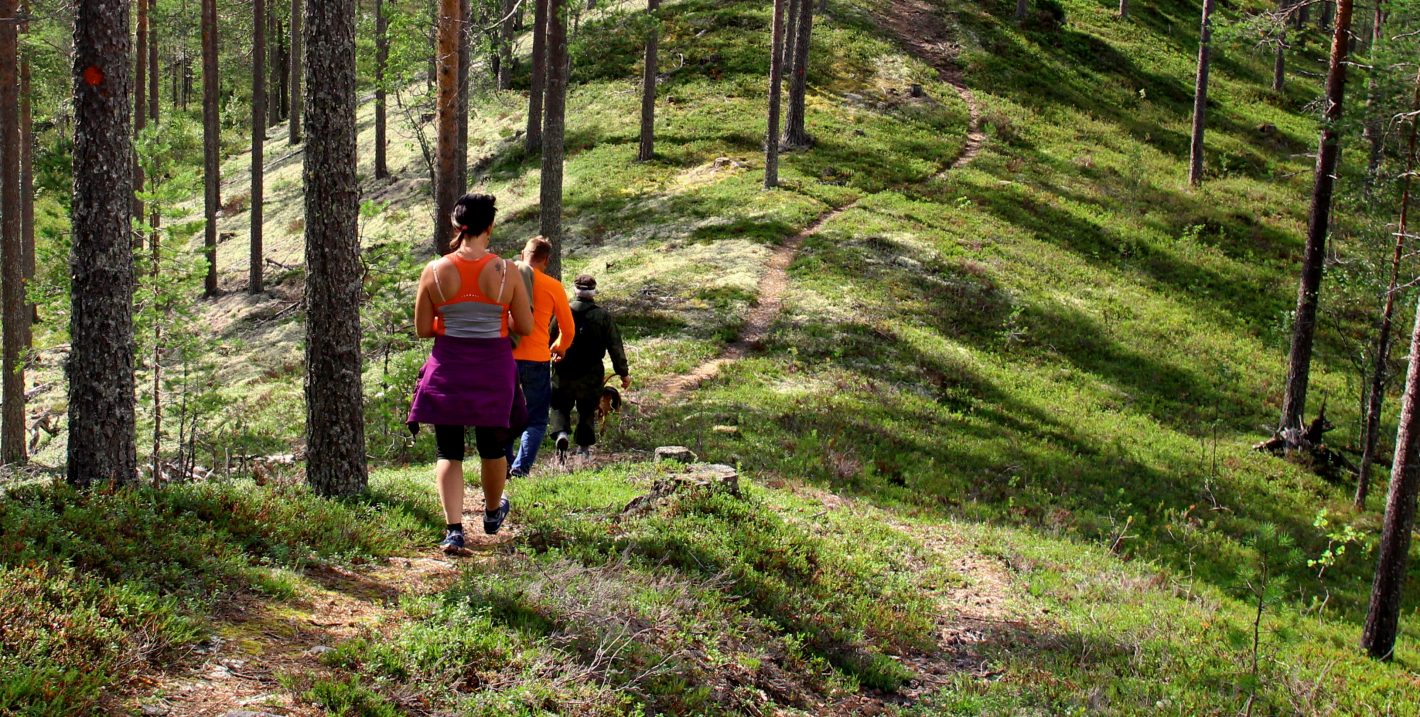 Kolme aikuista ja koira kävelevät peräkkäin valoisalla metsäpolulla.