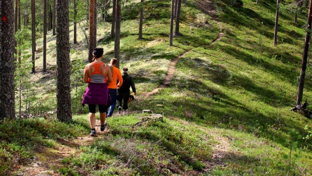 Kolme aikuista ja koira kävelevät peräkkäin valoisalla metsäpolulla.