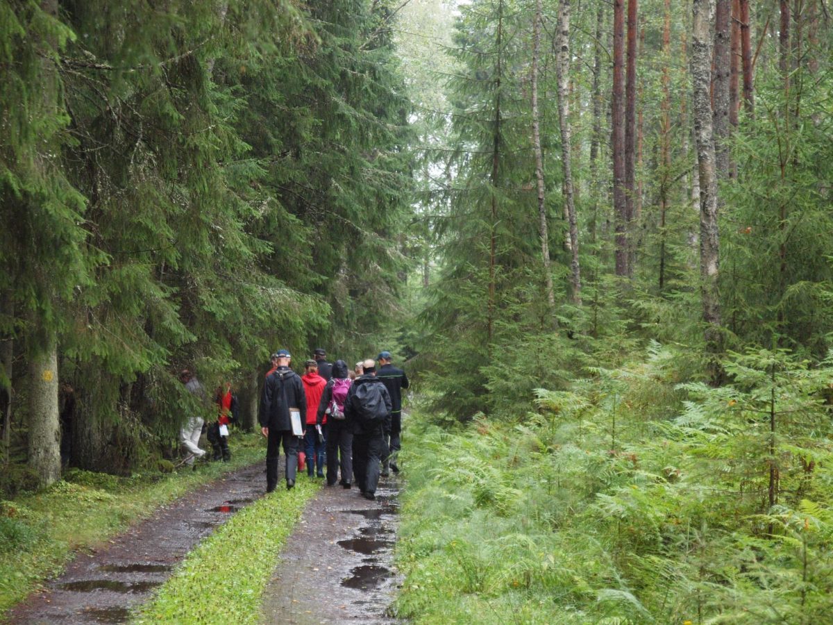 Joukko ihmisiä kävelemässä metsätiellä.