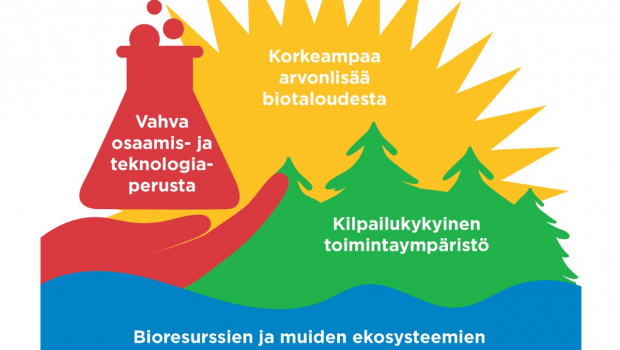 Strategian painopisteet eri elementeissä. Aurinko: korkeampaa arvonlisää biotaloudesta. Käsi ja dekantteri: vahva osaamis- ja teknologiaperusta. Metsä: kilpailukykyinen toimintaympäristö. Vesi: bioresurssien ja muiden ekosysteemipalveluiden käytettävyys ja kestävyys.