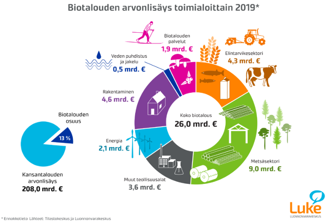 Elintarvikesektori 4,3 mrd €, metsäsektori 9 mrd €, muut teollisuudenalat 3,6 mrd €, energia 2,1 mrd €, rakentaminen 4,6 mrd €, veden puhdistus ja jakelu 0,5 mrd € ja biotalouden palvelut 1,9 mrd €. Kansantalouden arvonlisäys kaikkiaan 208 mrd €, josta biotalouden osuus 13 %.