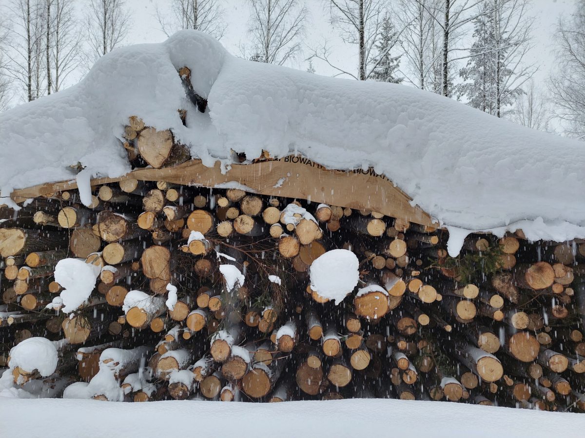 Energiapuupino. Puiden päällä lunta.