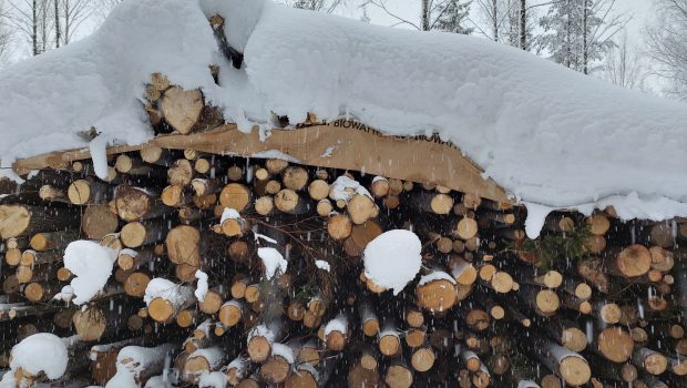 Energiapuupino. Puiden päällä lunta.