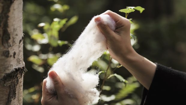 Kuvassa kädet pitelevät ja venyttävät valkoista villaa. Taustalla näkyy koivun runko ja vihreää luontoa.