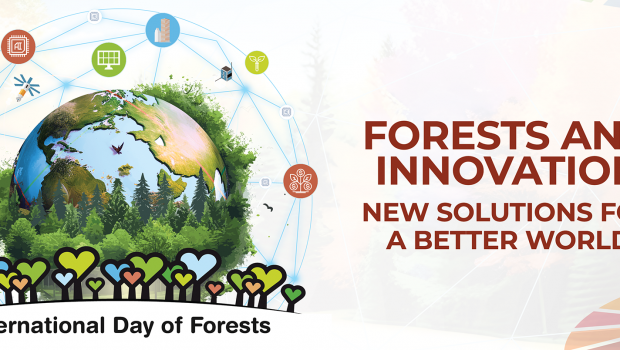 Maailman metsäpäivän logo, jossa teksti International day of forests ja forests and innovation, new solutions for a better world.